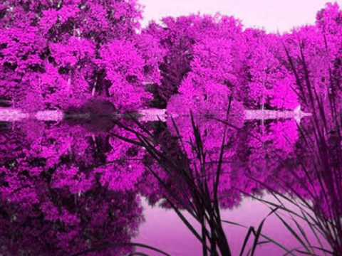 M Ward -  OUTTA MY HEAD