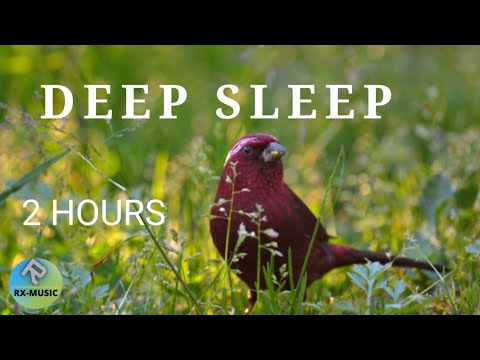2HOURS,BEST,FORDEEP SLEEP~and, Sleeping relaxing music~ beautiful piano song