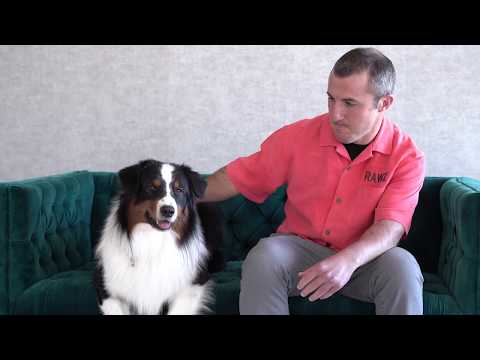 Meal Free Dry Food for Dogs by RAWZ Natural Pet Food