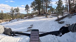 Hidden Fawn - Alderfer Three Sisters Park - Evergreen - Colorado