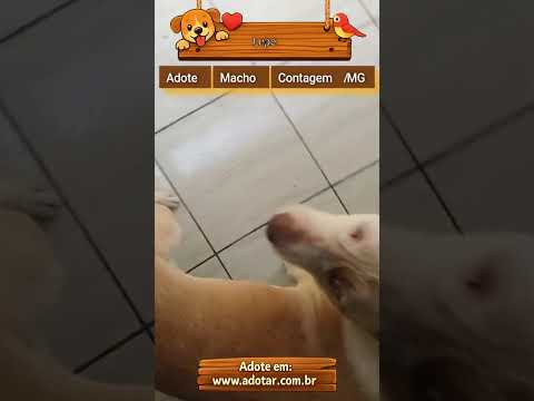 Vídeo de Lupe