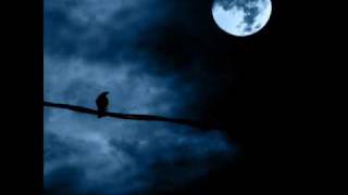 andy white - whole thing