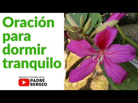 Oración para dormir tranquilo