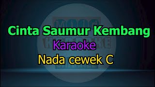 Download lagu CINTA SAUMUR KEMBANG KARAOKE NADA CEWEK mp3