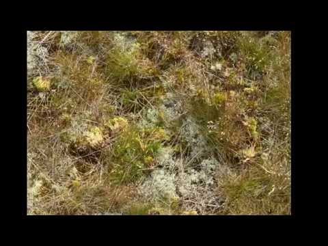 Spiekeroog - Haus Wolfgang 7.-14. Juni 2014