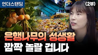 (2부) 은행나무의 성생활, 깜짝 놀랄 겁니다 (안주현 박사)
