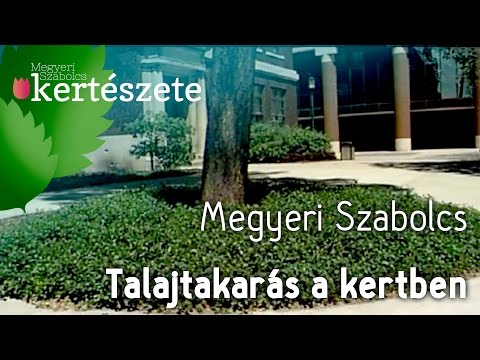 fenyőféreg kezelés a helmint prevenciótól