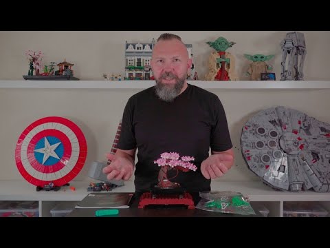 Ein wunderbares Kleinod! LEGO® Icons 10281 Bonsai Baum: