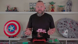 Ein wunderbares Kleinod! LEGO® Icons 10281 Bonsai Baum: