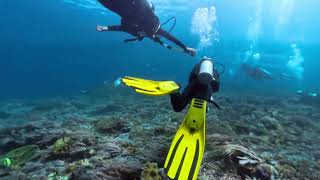 2026 May in Komodo Islands 2