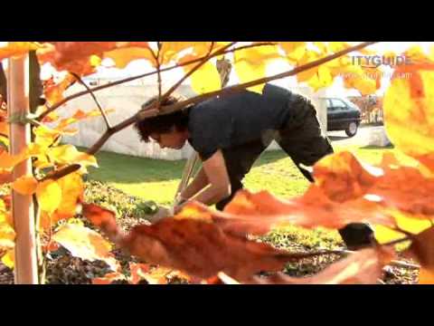 CITYGUIDE - A. Stamm AG Bassersdorf Schweiz