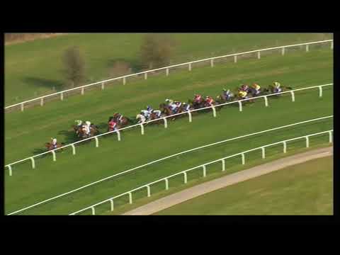 2011 Pertemps Final Handicap Hurdle - Cheltenham Festival