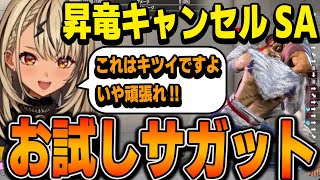 【スト6】レンタルファイターでサガットを触るきゅーちゃん コンボトライアル 昇竜キャンセルSAコンボを練習【神成きゅぴ/ぶいすぽっ切り抜き】