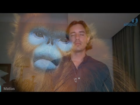 Day 357 ANIMAL Alignment - Matias De Stefano - English Edit