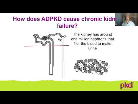 Video: ADPKD in Children and Young People by Prof Manish Sinah and Dr Matko Marlais