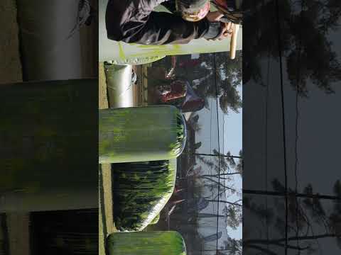 2 kills off the break 👀