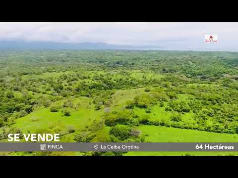 Imagen de Venta de Lotes y Terrenos en La ceiba - Orotina La Ceiba - ALAJUELA