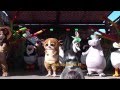 Madagascar Live Show At Chessington World Of Adventures Prepare To Party I Like To Move It