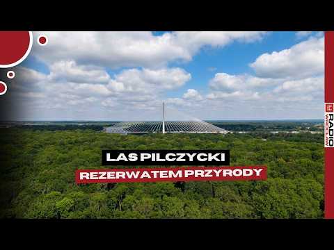 To pierwszy rezerwat przyrody we Wrocławiu