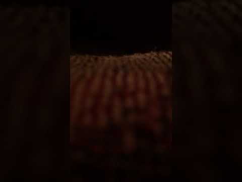 Johnny Flynn Song with no Name song