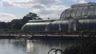 KEW GARDEN and THE KEW PALACE, London.  Lugares para visitar.