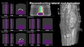 Désordre post-traumatic stress disorder