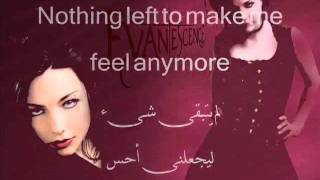 Evanescence Anything For You.FLV