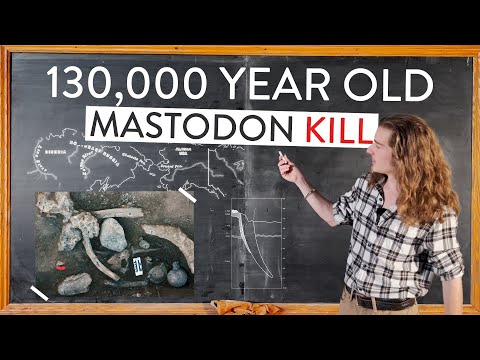 Were Homo Sapiens the First Hominid in North America? A Deep Dive into the Cerutti Mastodon Site