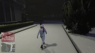 『Grand Theft Auto V 』