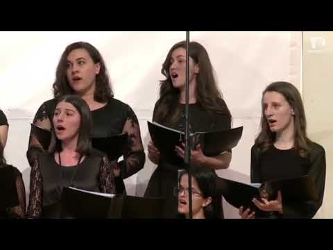 Voia Ta - Amicus Tg Mures