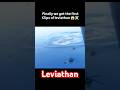 Finally We Got The First Clip Of Leviathan Snake Domnature Animals Oceananimals Dj Monster