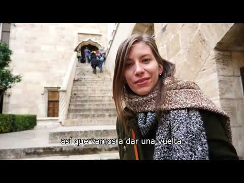 Vitamin A2 - Unit 4 / Basic Vitamin - Unit 12 (subtitled)