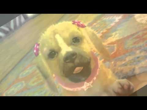 Happy Birthday Rowan!