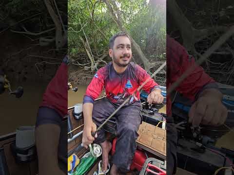 resumo pescaria rio vermelho região de matrinxã goias #brazielfish #fishing #peixe #fish #camping