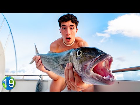 Modo Supervivencia Activado - Vuelta Al Mundo En 80 Dias