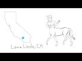 The 2 Million Dollar Advantage At Loma Linda University