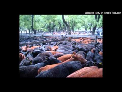 Today's Tango Is... La Tablada - Francisco Canaro 10-09-1946