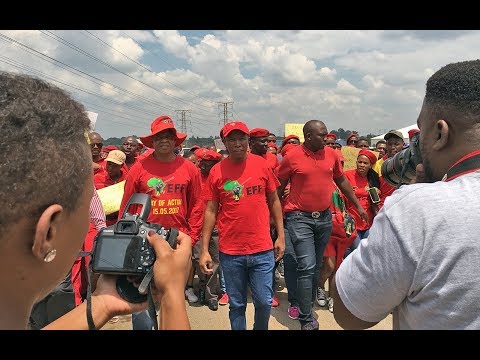 ‘Whites must be happy we are not calling for genocide’ Malema on land expropriation