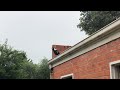 australian magpie imitation