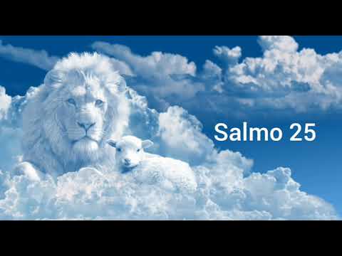 Salmo 25 Invocar a Dios en la prueba