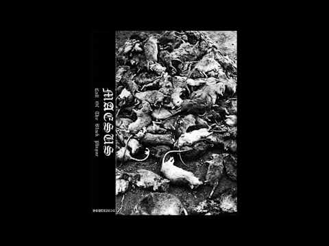 Maesus - From Beyond the Tomb