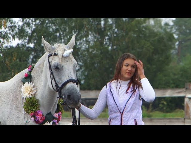 Праздник лошади