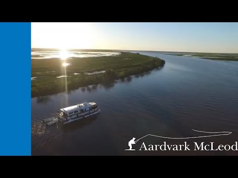 Golden Dorado River Cruiser - Fly Fishing for Golden Dorado on the Parana