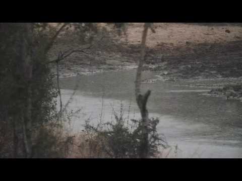 Djuma: Sights and sounds on a rainy morning - 06:12 - 06/17/20