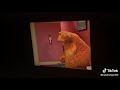 Bear In The Big Blue House Hi Shallow Hi Bear Not Bad Huh