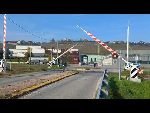 Passaggio a livello Neive (CN) Sp 194 nuova versione - Level crossing - Spoorwegovegang