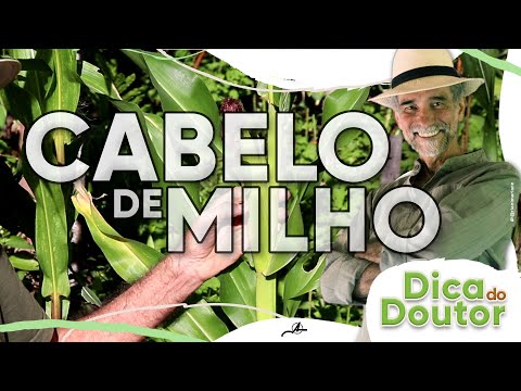 Dic do Doutor #190  - Cabelo de milho