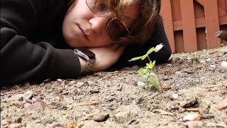 The PLANTS that almost FAILED!