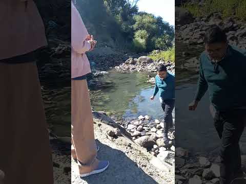 Termas el Avellano. VIII region Alto Bio bio al interior.