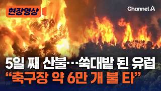 유럽 덮친 최악 산불 벌써 5일 째…프랑스에서만 축구장 6만 개 불 타 [현장영상] / 채널A
